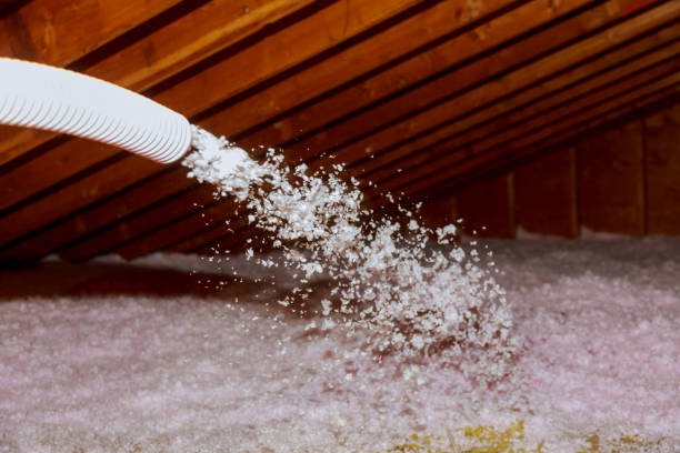 Best Insulation Removal Services  in Lifornia City, CA