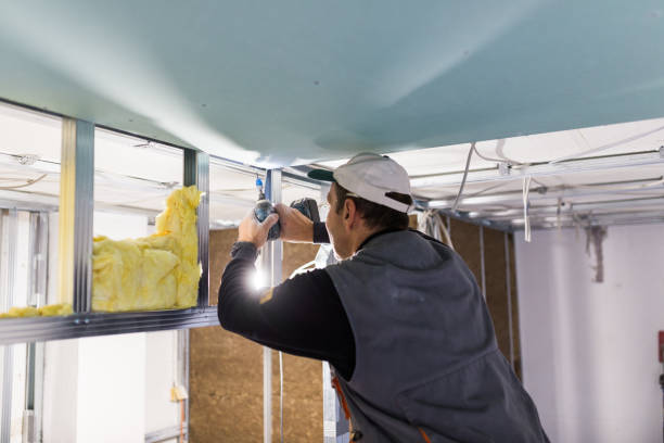 Best Attic Insulation Installation  in Lifornia City, CA