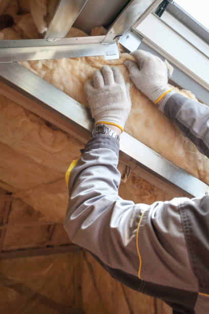 Best Insulation Repair Services  in Lifornia City, CA