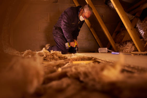 Insulation Inspection Services in California City, CA